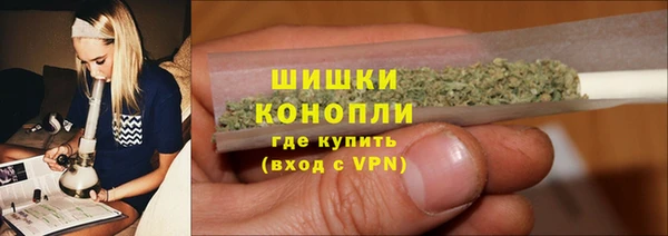 шишки Коряжма