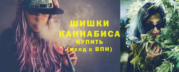 шишки Коряжма