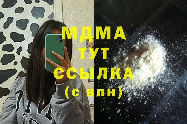 шишки Коряжма